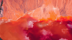 Why has my CBD oil turned pink? Organia CBD oils
