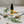 Load image into Gallery viewer, 1000mg (10%) Масло КБД с натуральными растительными добавками и эфирными маслами Меньше боли
